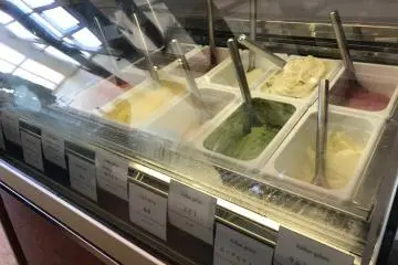 The showroom offers a variety of Gelatos, including wine-flavored