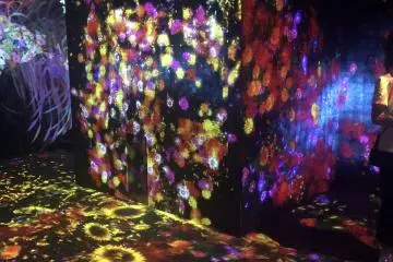 Found at TeamLab Borderless 