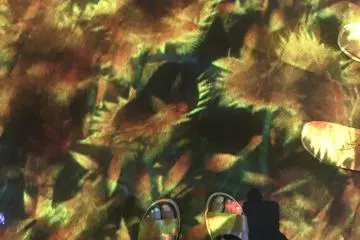 Found at TeamLab Borderless 