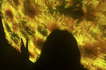Found at TeamLab Borderless 