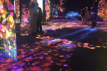 Found at TeamLab Borderless 