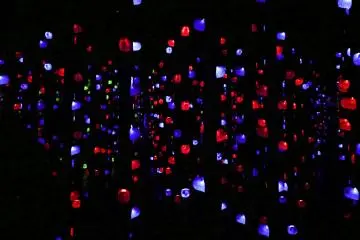 Found at TeamLab Borderless (Photo: Andrea Xie )