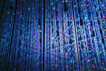 Found at TeamLab Borderless (Photo: Andrea Xie)