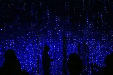 Found at TeamLab Borderless (Photo: Andrea Xie )