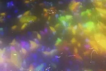 Found at TeamLab Planets