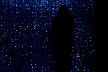 Found at TeamLab Borderless