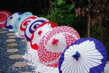 Vibrant parasols