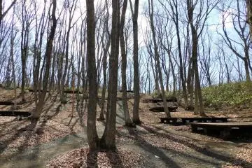 Senganishi Forest Park campground