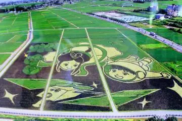 The 2015 display that won the Guinness World Record