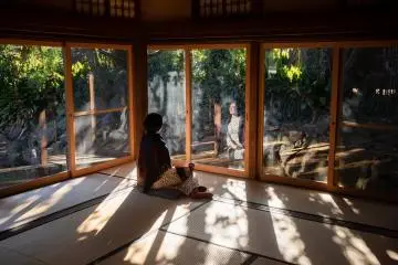 Mr Kerr suggested removing some of the walls, lowering the floor level and installing more windows. This was to help create extra space and let in more daylight (Photo: <a href="https://ojikajima.jp/" target="_blank" rel="noreferrer noopener nofollow">Ojika Island Tourism - YASUHIRO KOZASA SORA</a>)