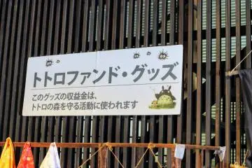 They sell some Totoro goods too