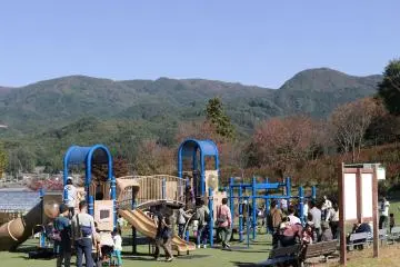 Kids can work off some pent up energy in this free playground at the top of a hill. Beside it, in summer, you can also pick blueberries for a reasonable fee.