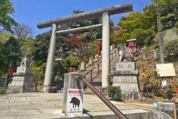 Halfway up the stairs
