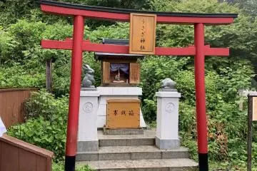 Gallery image