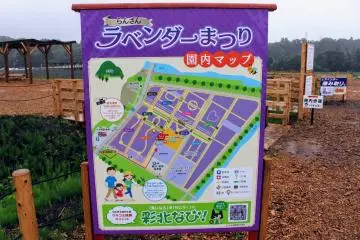 Ranzan Lavender Festival