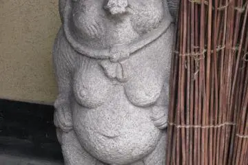 A plump tanuki