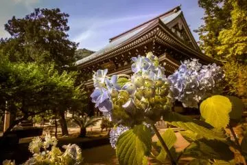 The colorful sight provide a good place to rest