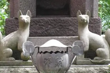 Kitsune at Hasedera