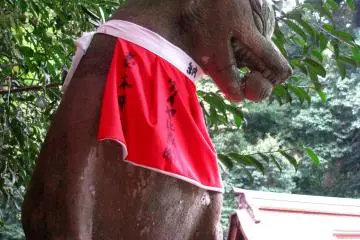 Kitsune with red apron