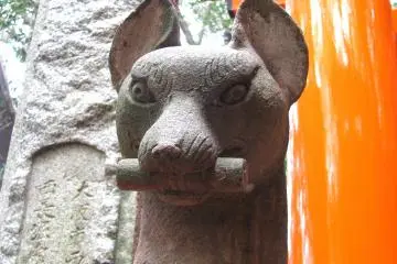 Kitsune from Fushimi Inari Taisha