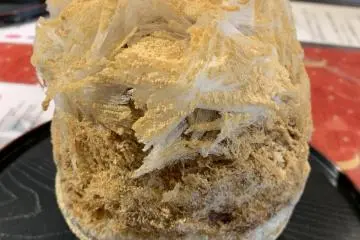 Kinako kakigori