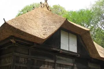 A beautifully shaped straw roof