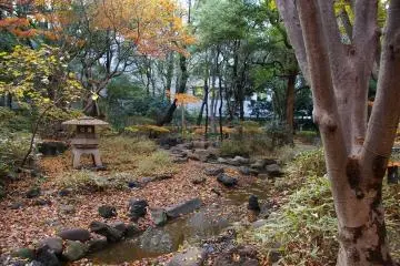 Serene landscaping within the park