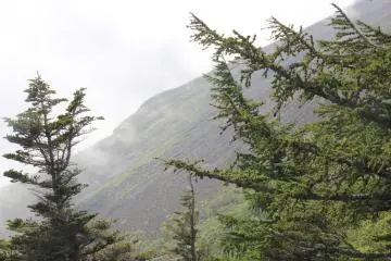 A part of Mt. Fuji
