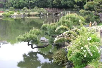 Kiyosumi Taien