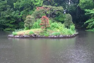 Shinjuku Gyoen