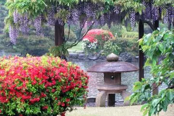 Shinjuku Gyoen