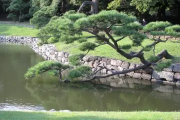 Hama Rikyu Garden
