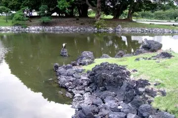 Hama Rikyu Garden