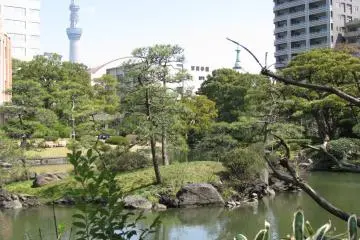 Kyo Yasuda Garden