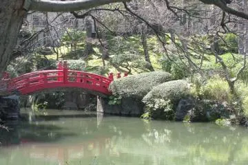 Kyo Yasuda Garden