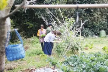 In case fishing is not your thing you can do some farming instead.
