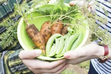 Fresh veggies for dinner.