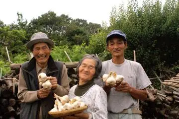 Islanders don't hold back once they spot a traveler, who gets showered with attention and gifts (vegetables, rice, fish).