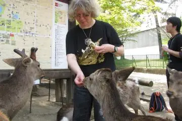Feeding the deer