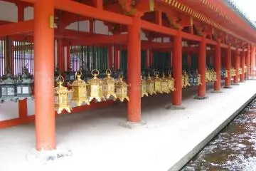 Many rows of hung lanterns of Kasuga Taisha