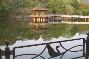 Peaceful view