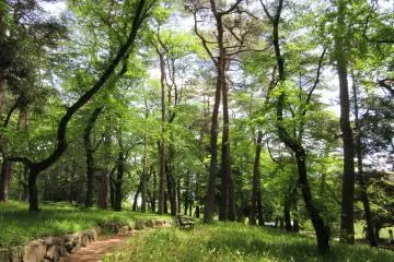 Omiya Park, Saitama