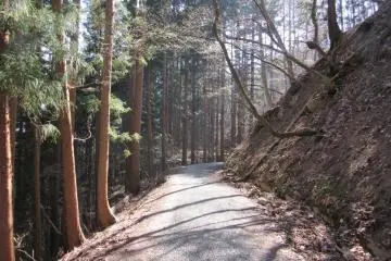 Hiking trail to Jigokudani Yaen Koen, Nagano