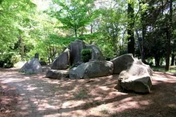 Omiya Park was beautiful and shadowy