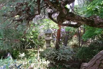 Small garden on my way