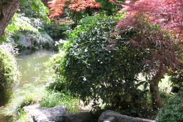 Even small gardens can be so charming!