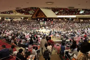 Wider view of the sumo arena (Photo: Tom Roseveare)