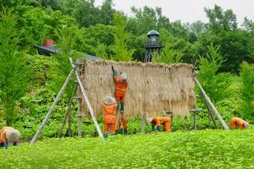 Petani Penjara