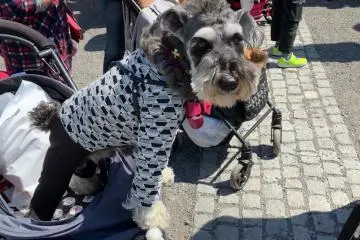 Lookin' good in the hood (like he knew he would!)