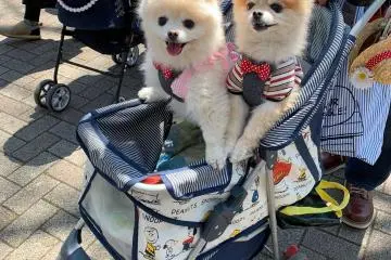 Are those matching polkadot bow ties? These two belong in the pages of the Sartorialist.